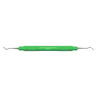 American Eagle Instruments Inc. AE Implantatscaler 204S f.SZ Kunststoff St