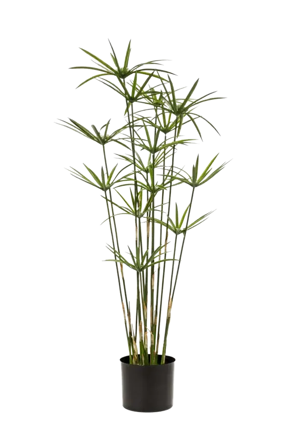 Künstliches Zypergras - Lilli | 90 cm