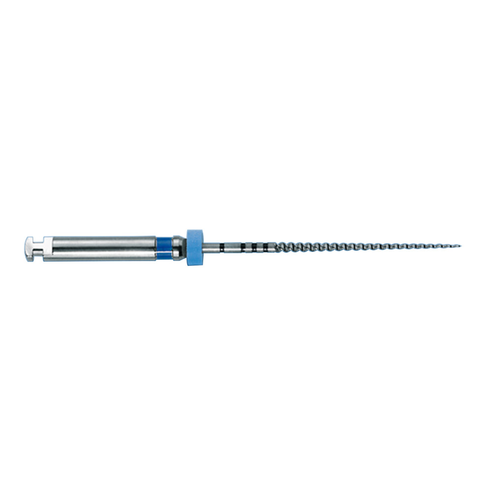 Maillefer Instruments Manufacturing S.A.R.L Profile .04 11N 090 21mm 6St
