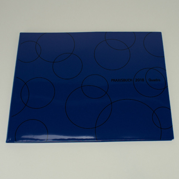Speiko - Dr. Speier Praxisbuch Speiko Quadro 2025 St