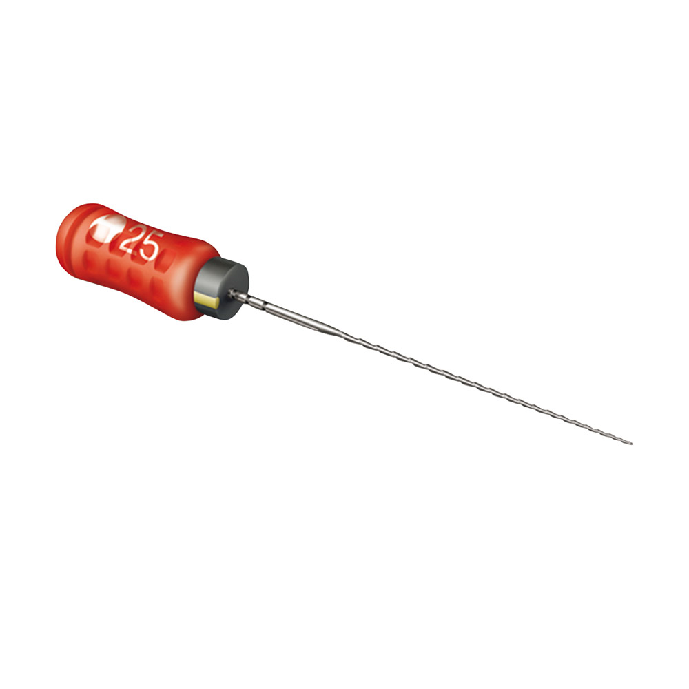 Maillefer Instruments Manufacturing S.A.R.L Senseus Hedströmfeilen 010 21mm 6St
