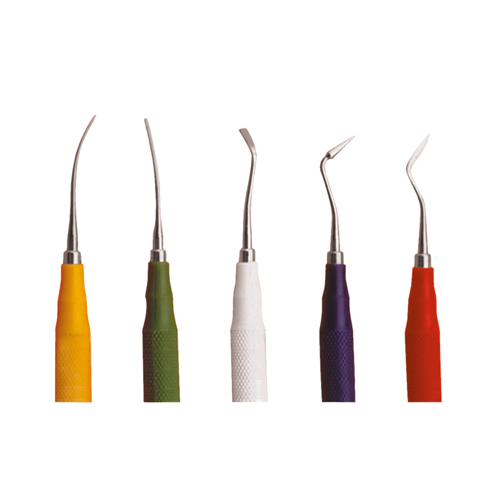 SAFIDENT DEUTSCHLAND Thomascolor Instr. Safi. 4 rot St