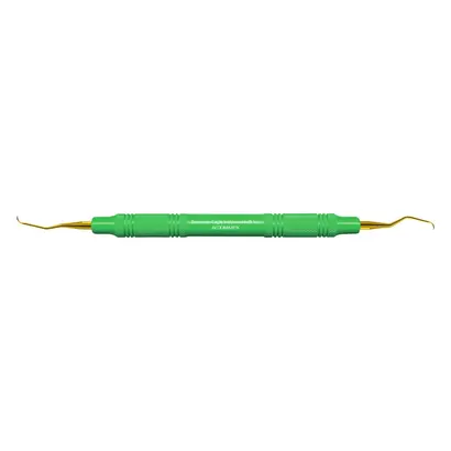 American Eagle Instruments Inc. AE XP Double Gracey Mini Ant. Kunststoff St