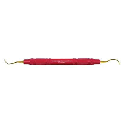 American Eagle Instruments Inc. AE XP Kürette Langer 3-4X Post. Mesial/Distal Kunststoff St