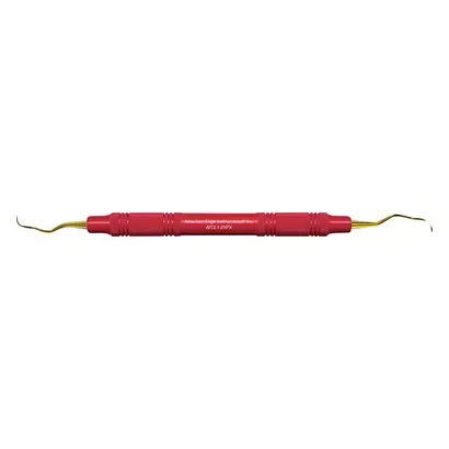 American Eagle Instruments Inc. AE XP Kürette Langer 1-2X Pos.Mes./Dist.Kunststoff St