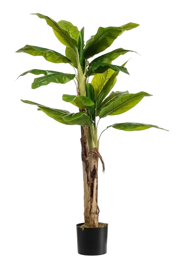 Künstlicher Bananenbaum - Can | 140 cm