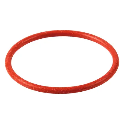 EMS SA O-Ring f.Pulverkammer AIR-FLOW 3.0 St