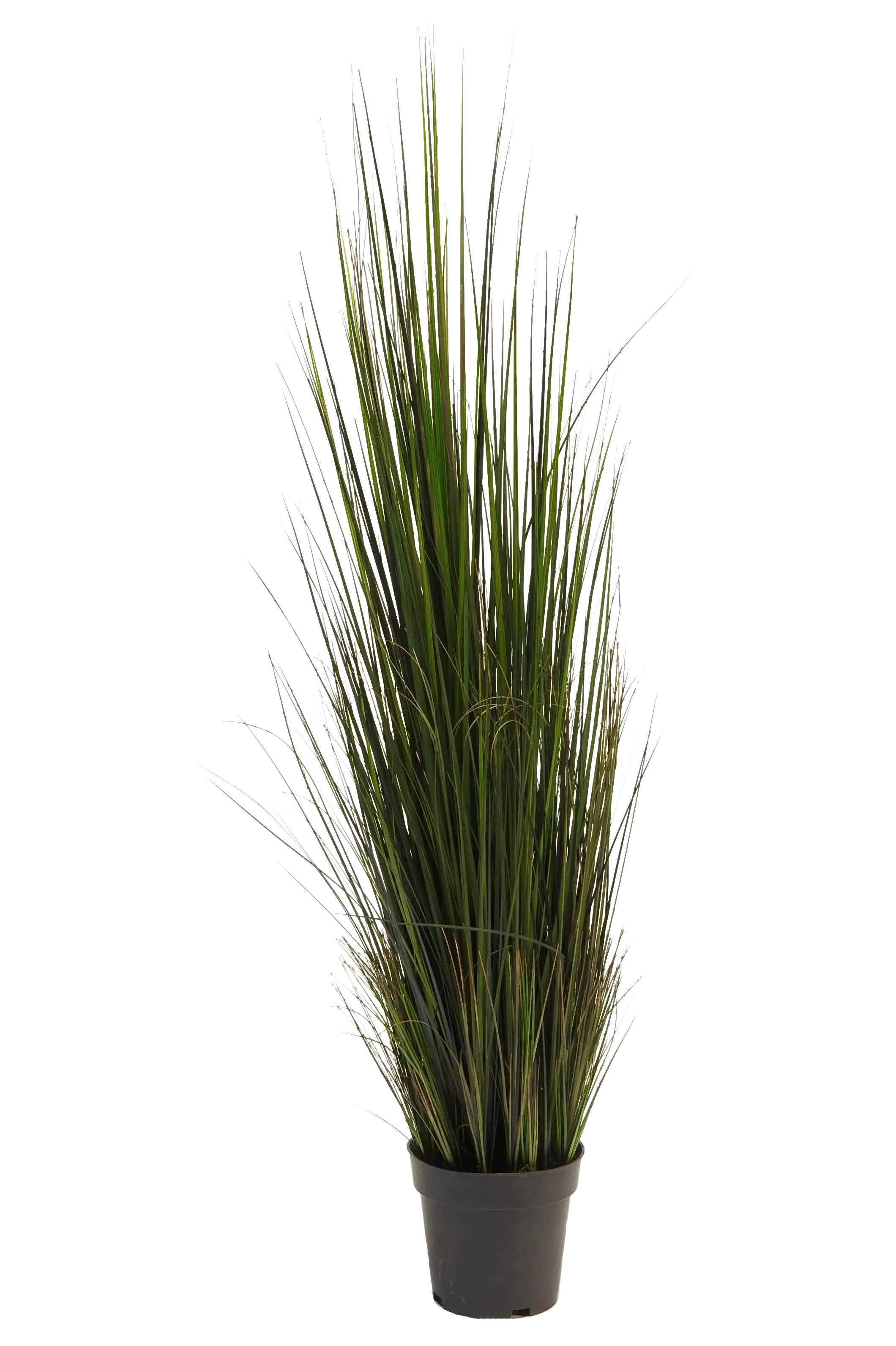 Künstliches Gras - Hanno | 120 cm
