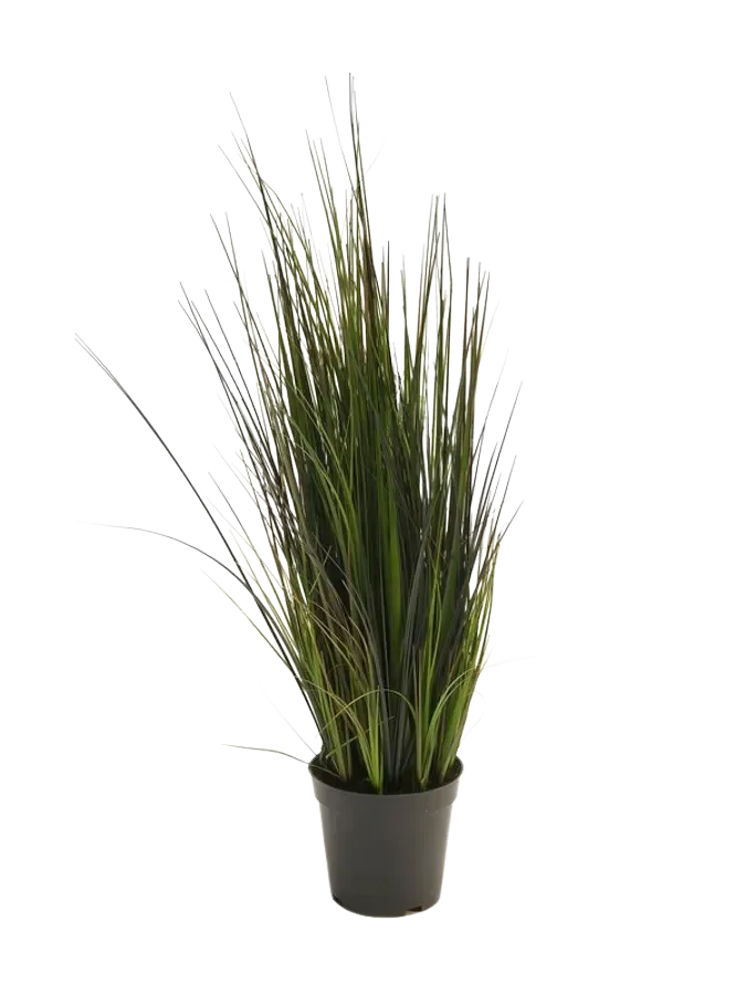 Künstliches Gras - Hanno | 60 cm