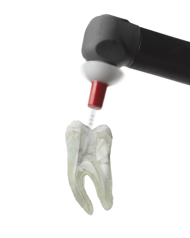 DENTSPLY DE TREY SmartLite Pro EndoActivator Nfpa