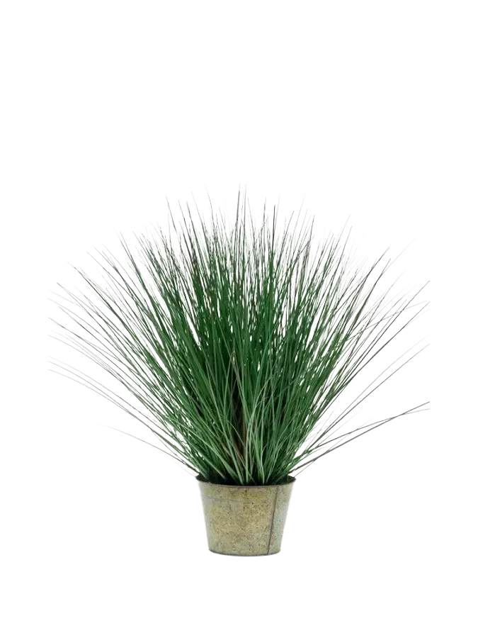 Künstliches Gras - Irene | 80 cm