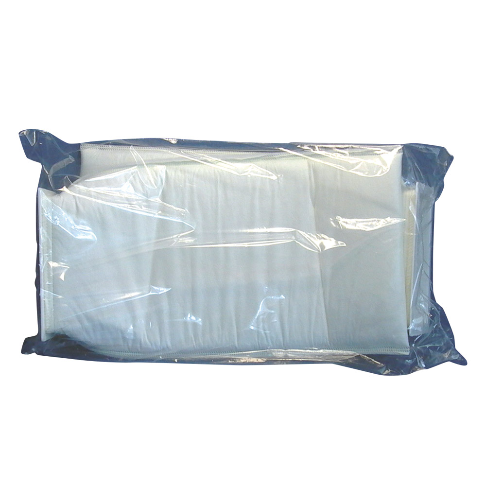Wassermann Dental-Maschinen Ersatz-Filtertasche WP-EX 2000 2St