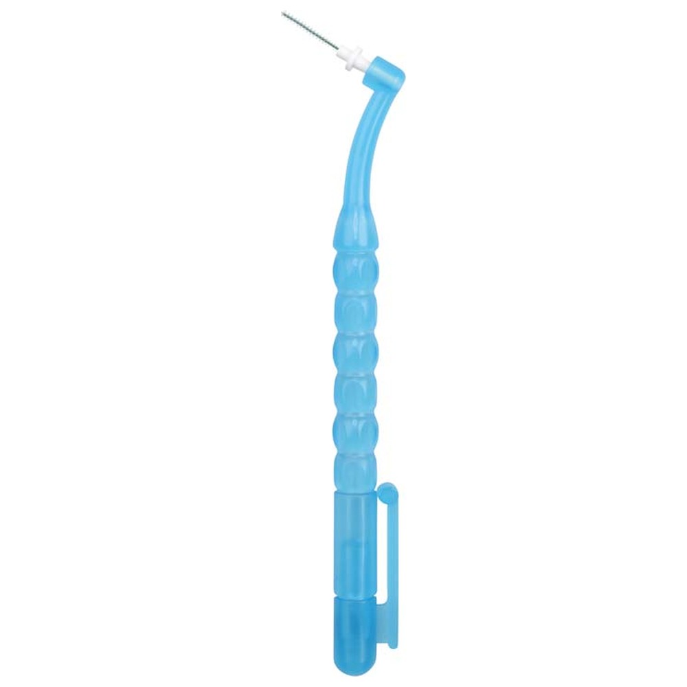 Hager & Werken Pic-Brush® - Set 1 Stück blau transparent, 1 Bürste