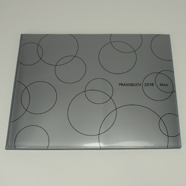 Speiko - Dr. Speier Praxisbuch Speiko Maxi 2025 St